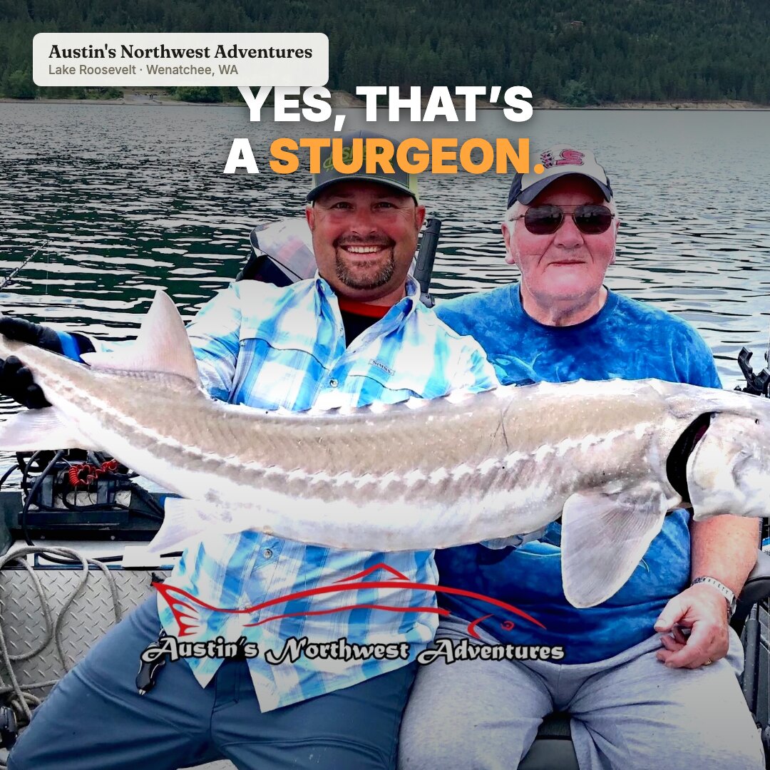 Ad: two anglers holding a giant white sturgeon, hook yes that's a sturgeon (square version)