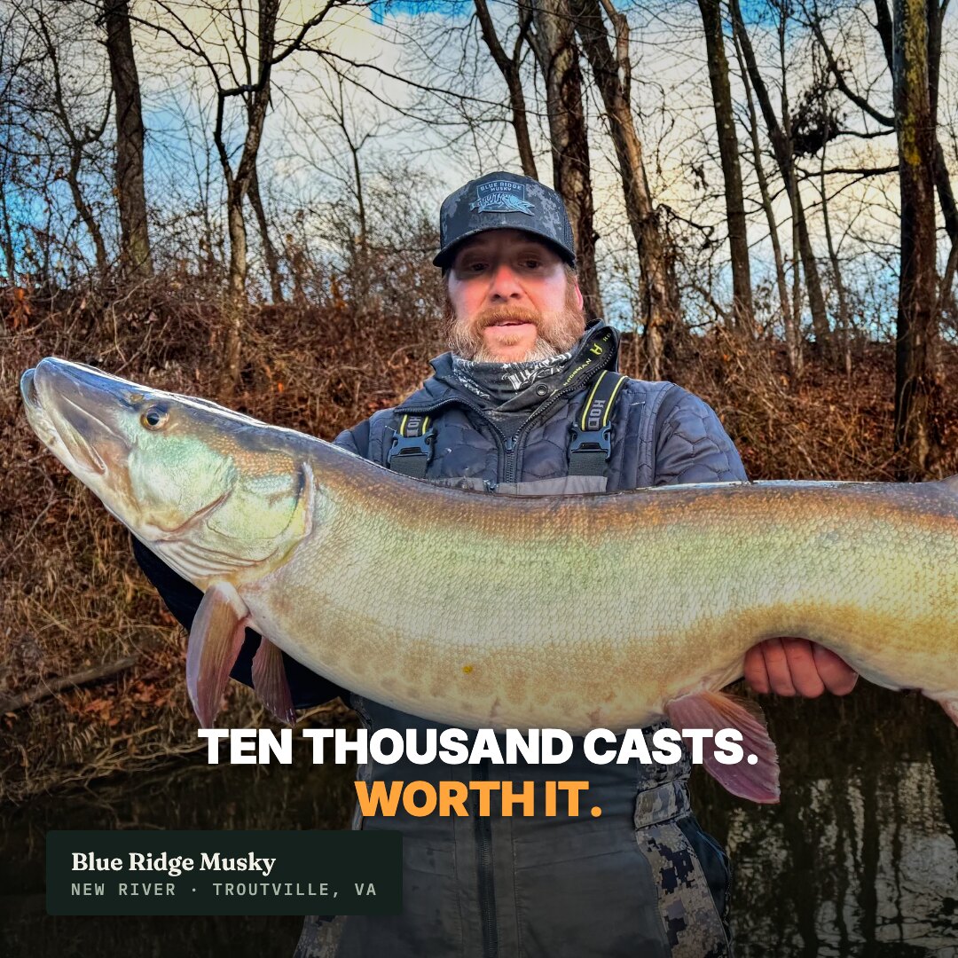 Ad: angler holding a giant musky, hook ten thousand casts worth it (square version)