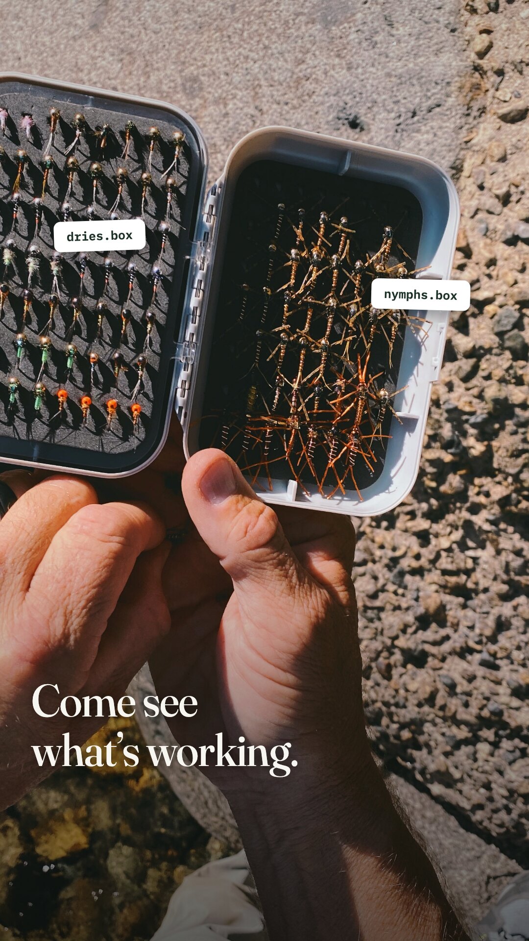 Ad: two open fly boxes point-of-view, hook come see what's working (vertical version)