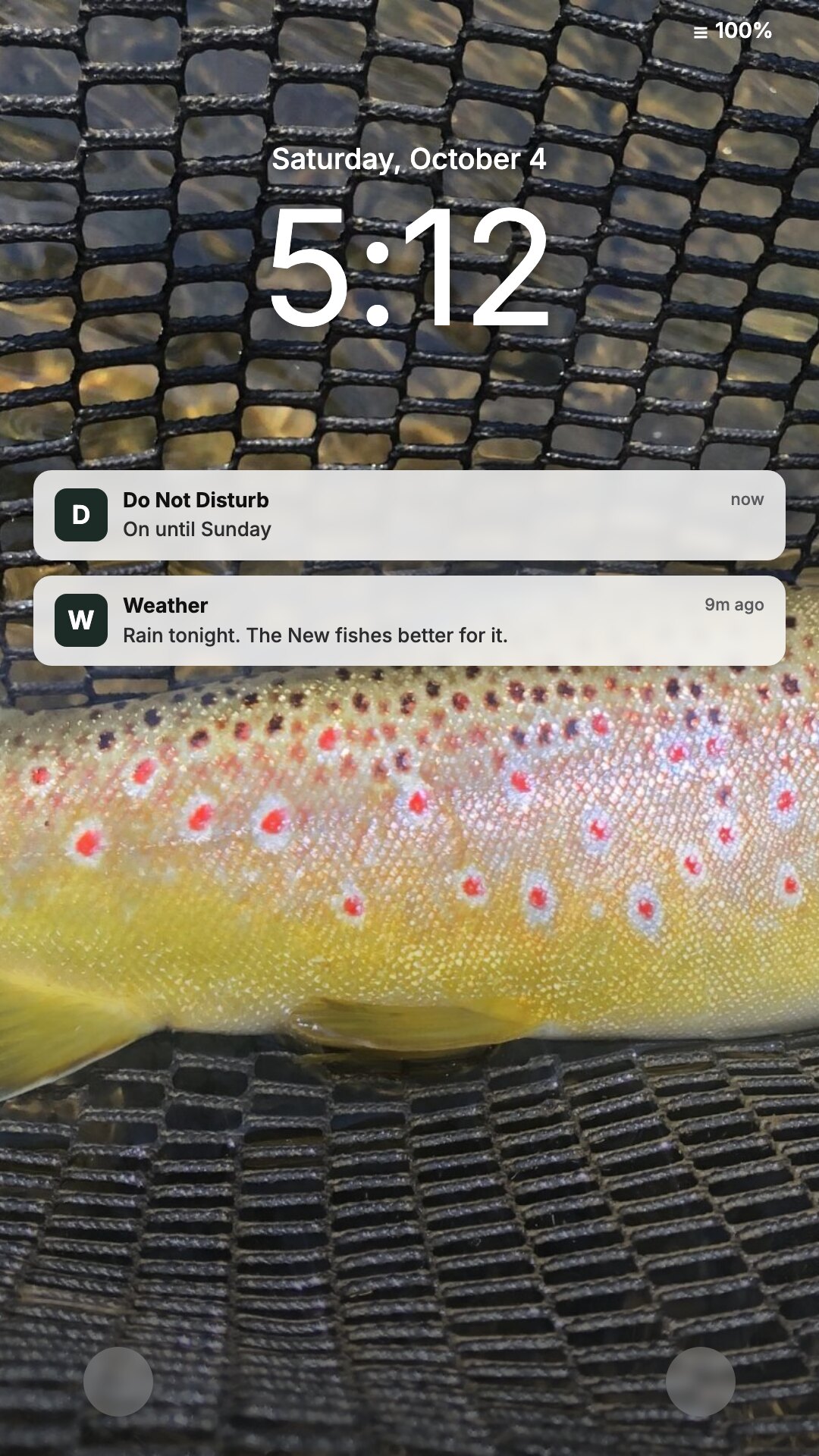 Story ad: iPhone lock screen over trout wallpaper with do not disturb until Sunday