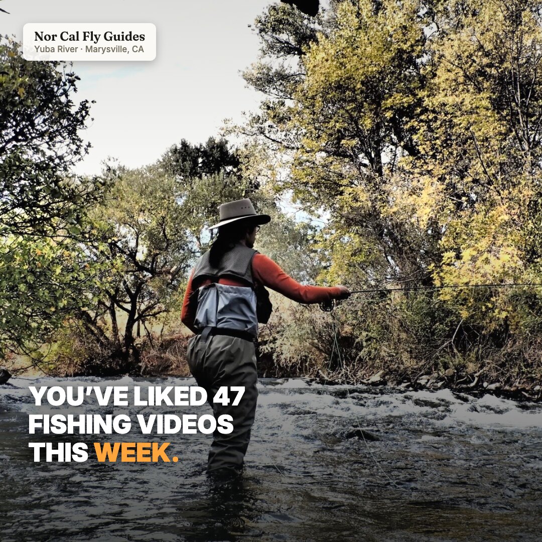 Ad: angler casting on the Yuba with the hook you've liked 47 fishing videos this week (square version)
