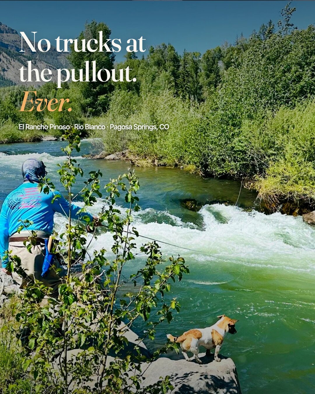 Ad: emerald creek with angler and dog, hook no trucks at the pullout ever