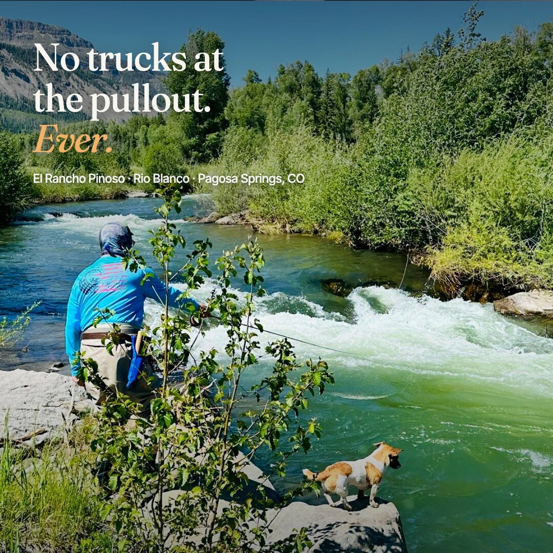 Ad: emerald creek with angler and dog, hook no trucks at the pullout ever (square version)