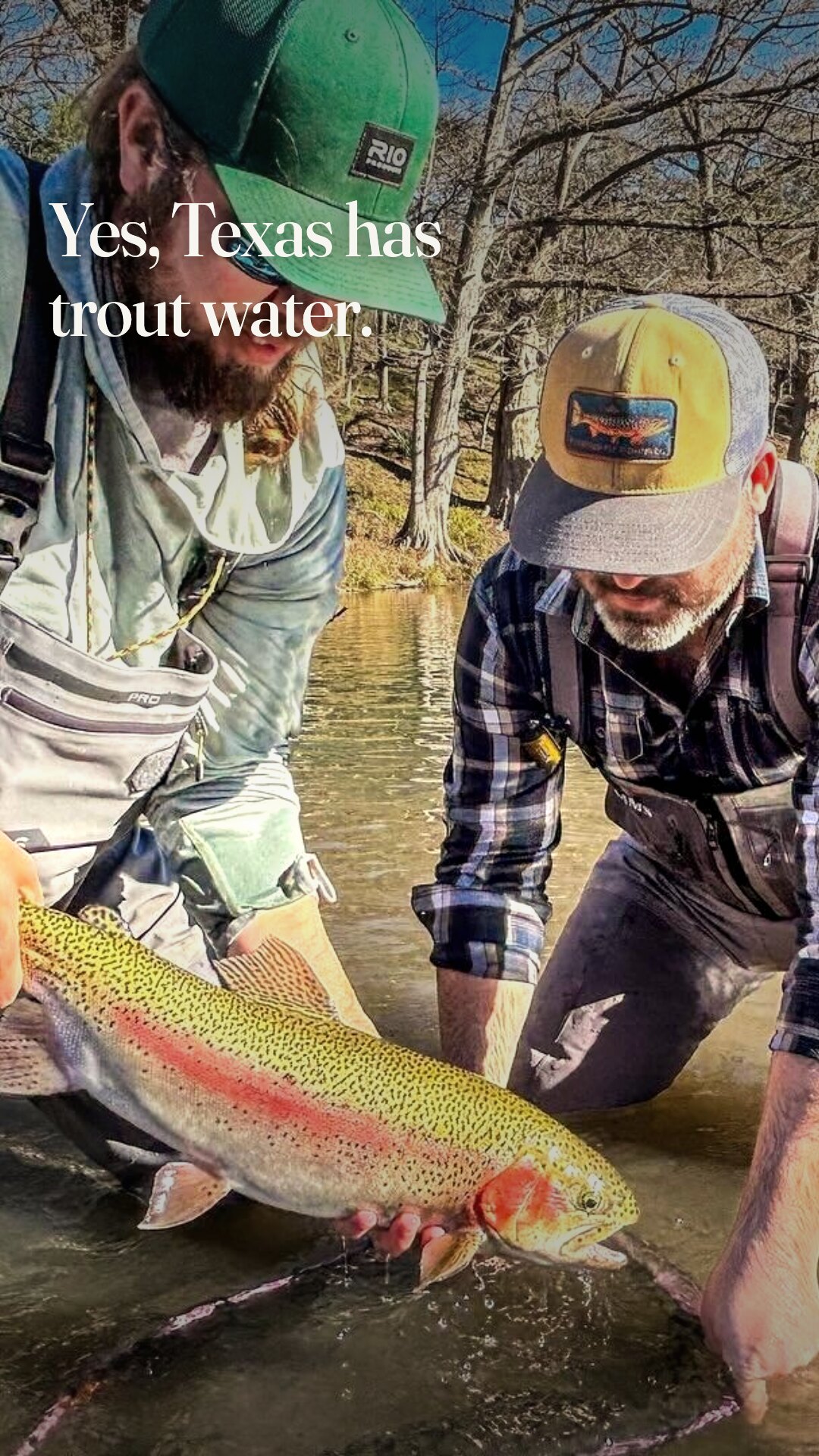 Ad: guides releasing a rainbow on the Guadalupe, hook yes Texas has trout water (vertical version)