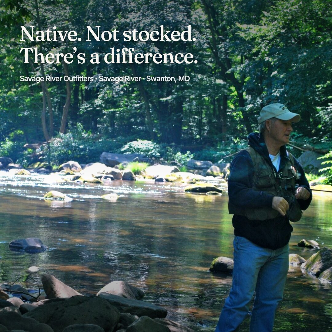 Ad: green pool with angler, hook native not stocked there's a difference (square version)