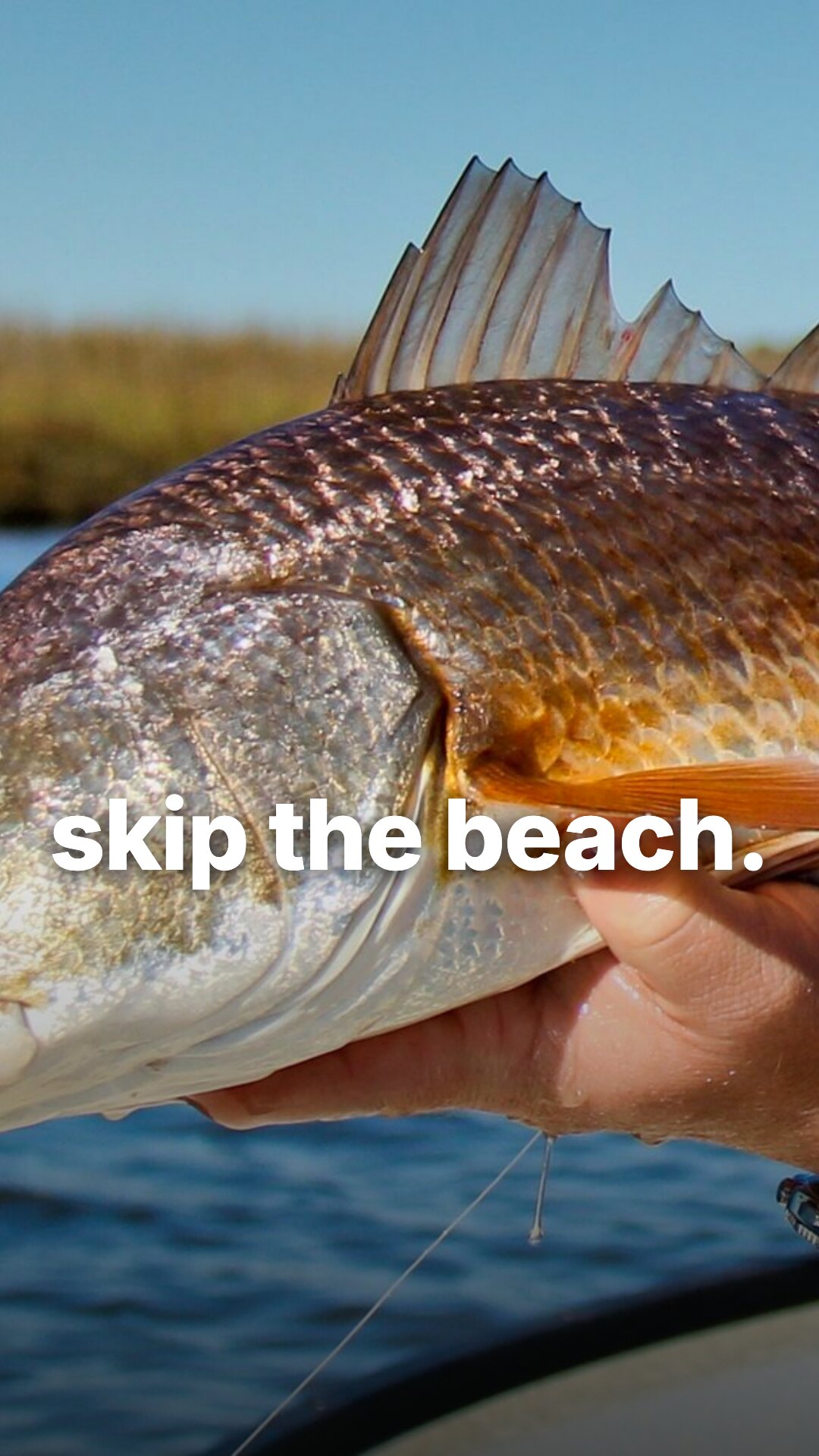 Story ad: tailing redfish close-up, hook skip the beach