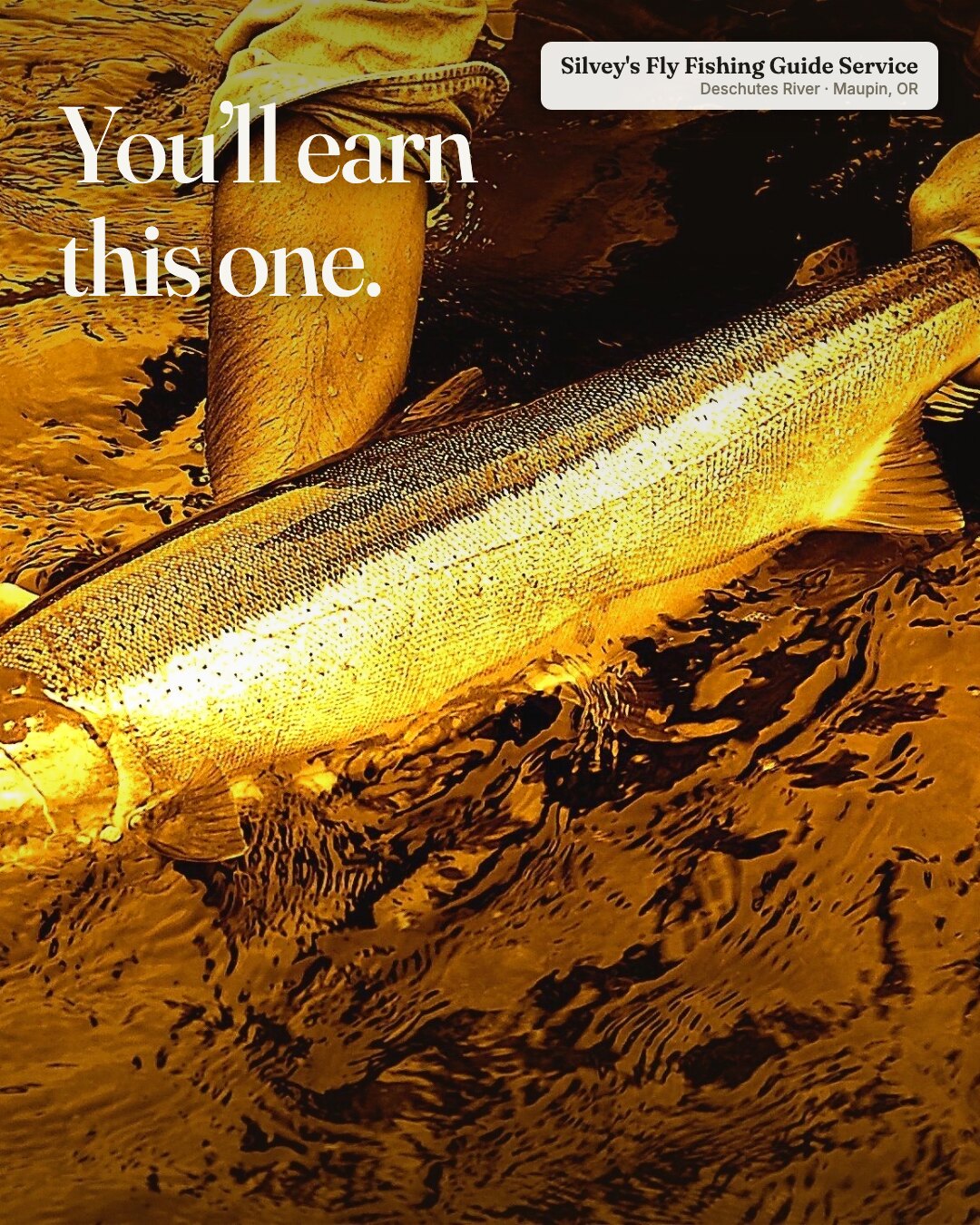Ad: golden underwater steelhead release, hook you'll earn this one