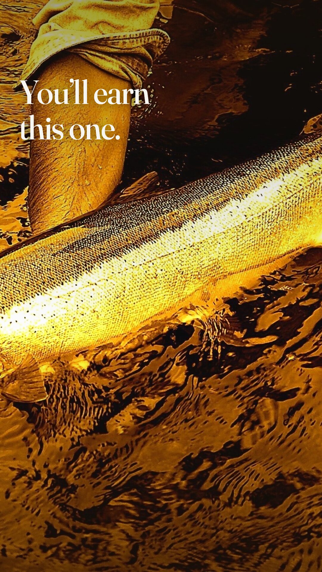 Ad: golden underwater steelhead release, hook you'll earn this one (vertical version)