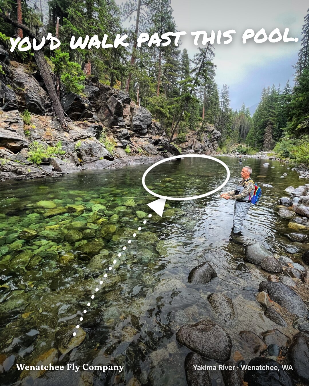 Ad: pocket water pool with drawn circle, hook you'd walk past this pool