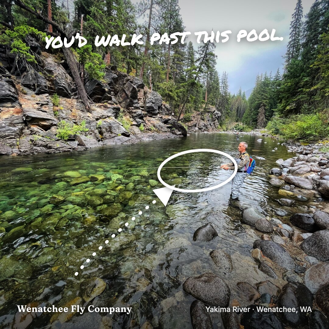 Ad: pocket water pool with drawn circle, hook you'd walk past this pool (square version)