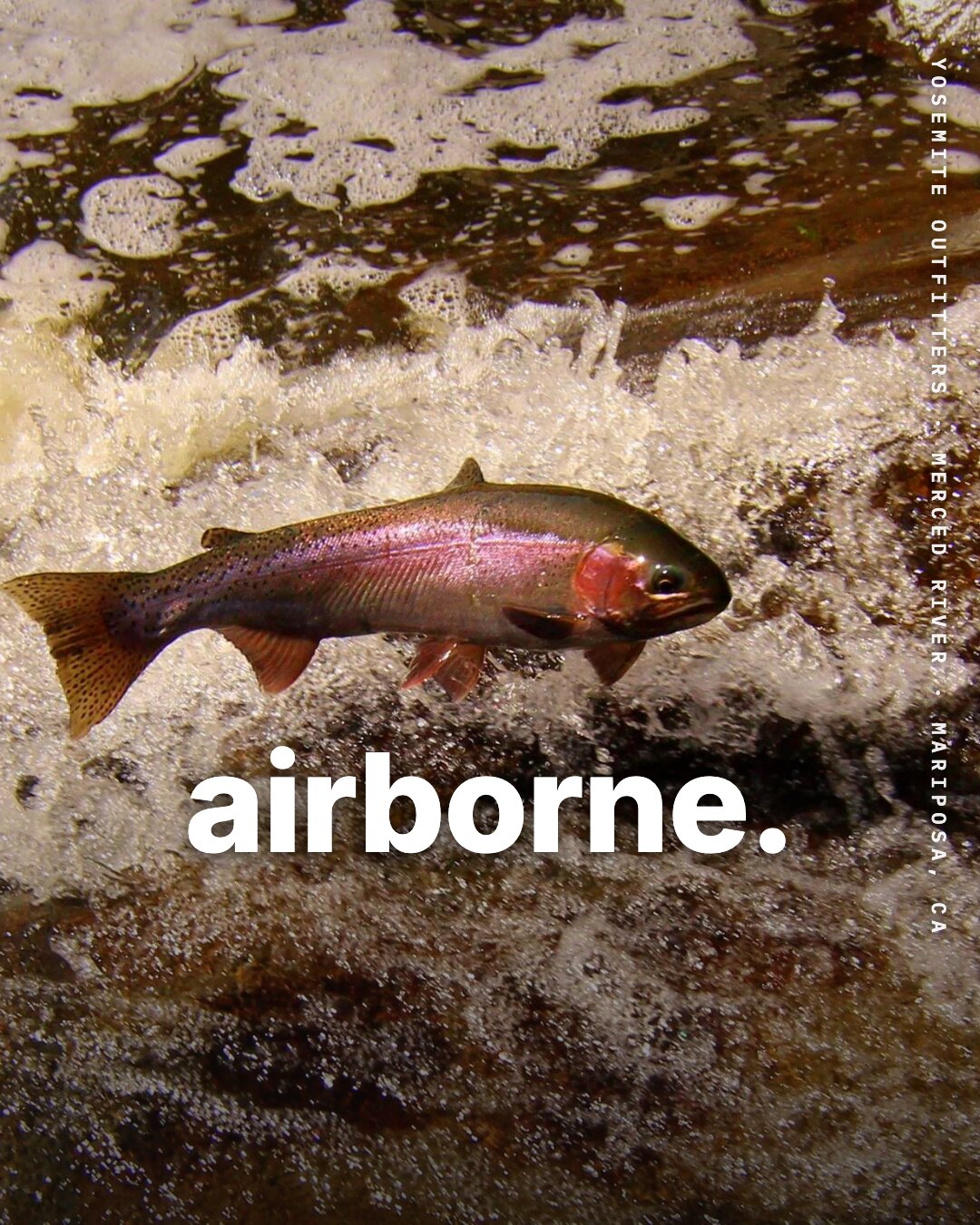Ad: rainbow trout leaping in whitewater, hook airborne