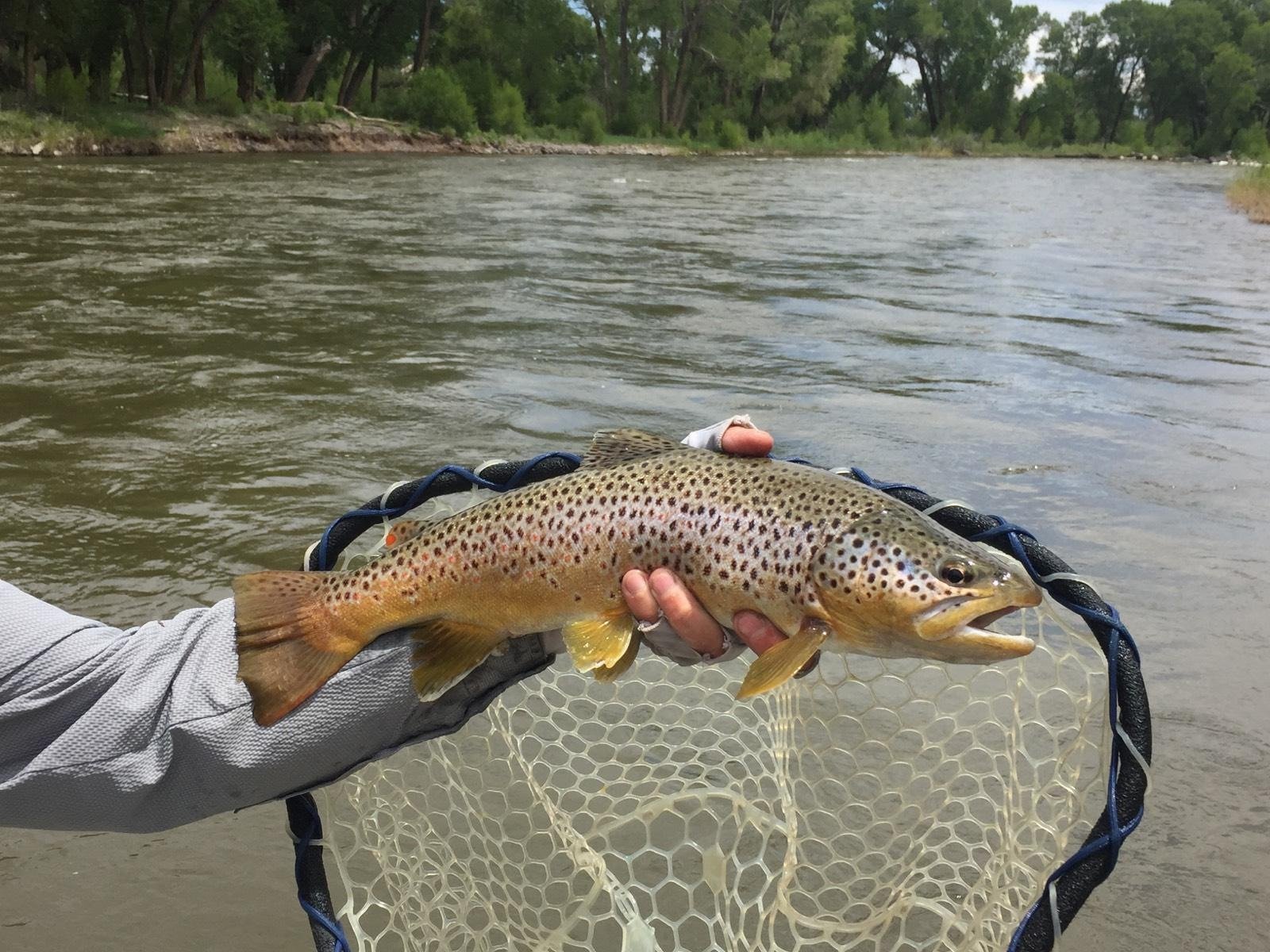 On the water in Colorado, photographed by 8200 Mountain Sports