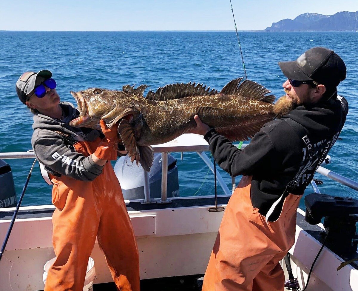 The working end of a guided day, photographed by Adventure Fishing Tours in AK