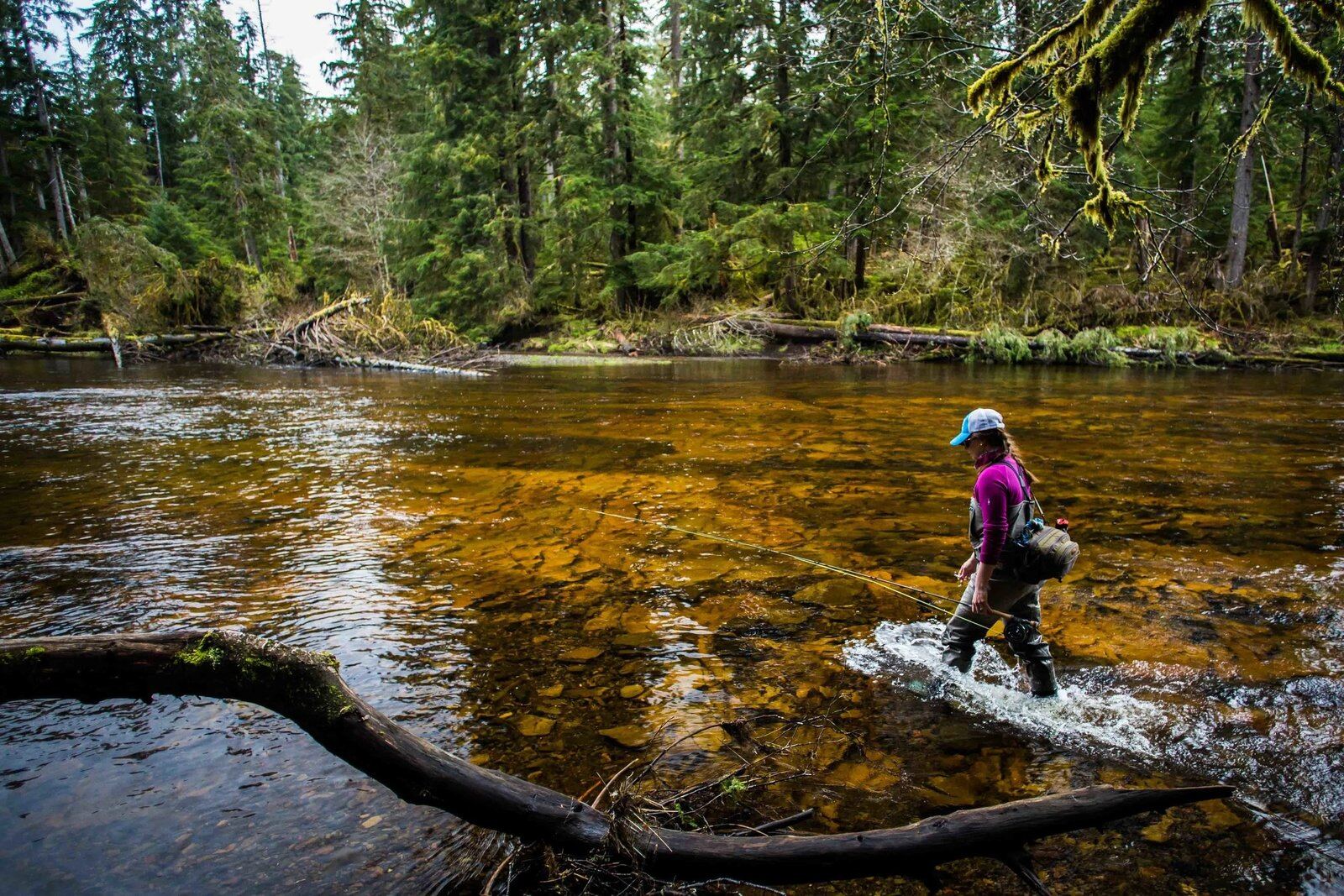On the Clarence Strait, photographed by Alaska's Fish Tales Lodge