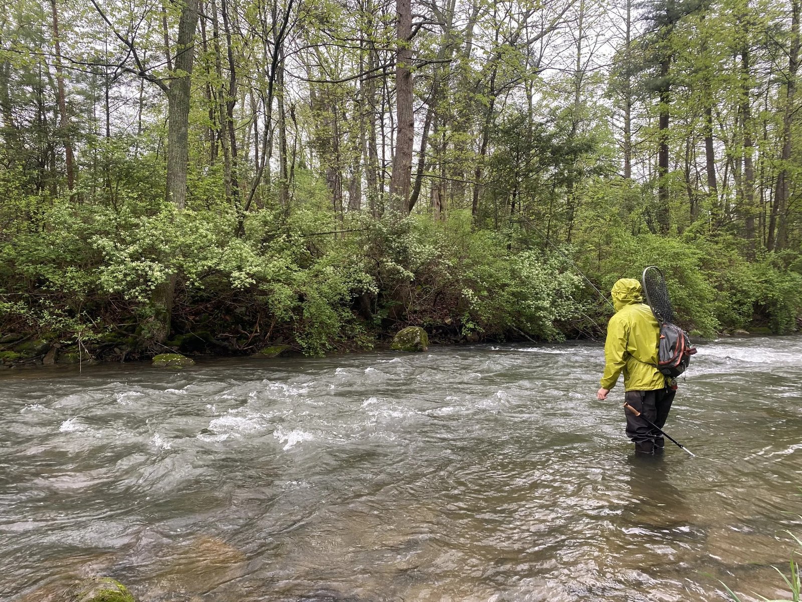On the Penns Creek, photographed by Appalachian Fishing Guides
