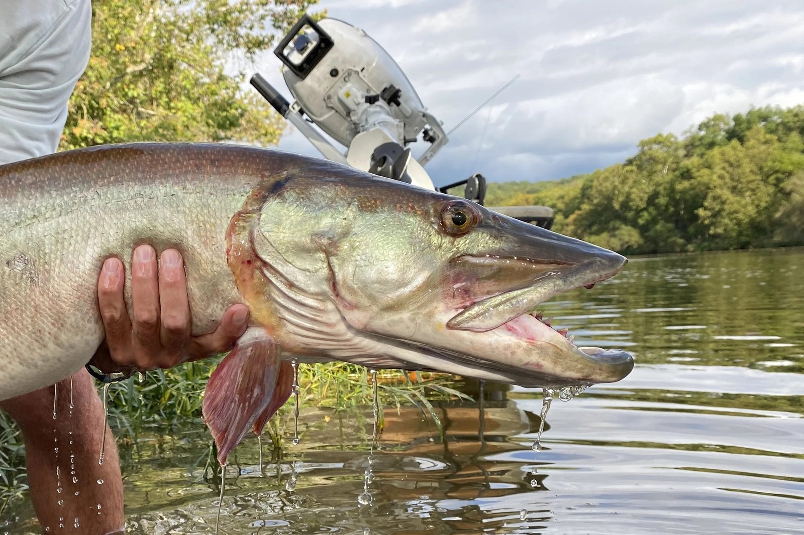 The working end of a guided day, photographed by Appalachian Outdoors in TN