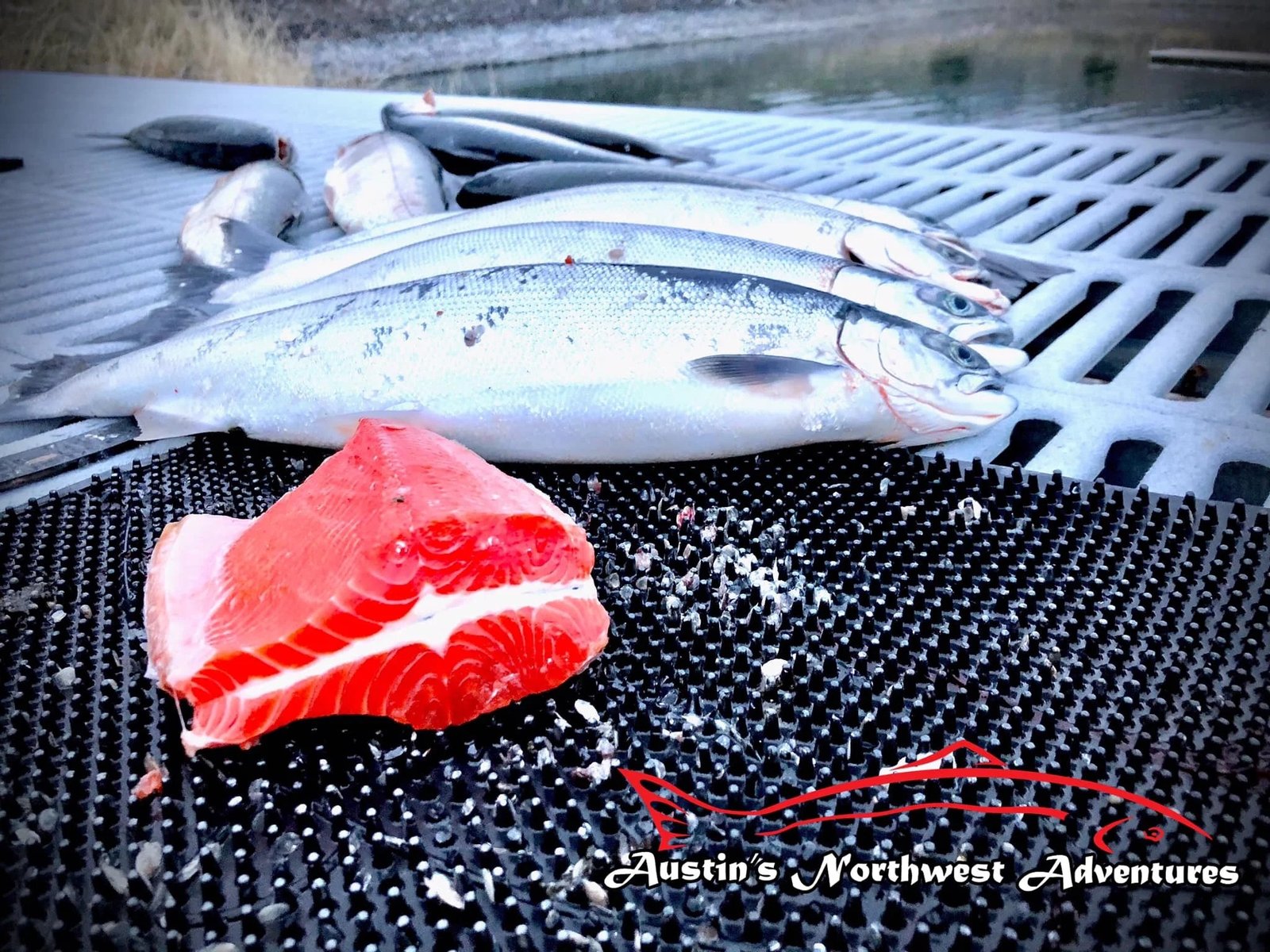 A guide working with a client on the water, photographed by Austin's Northwest Adventures in WA