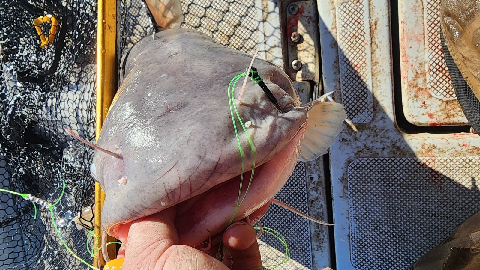On the Fort Gibson Lake, photographed by B & C Fishing Adventures LLC