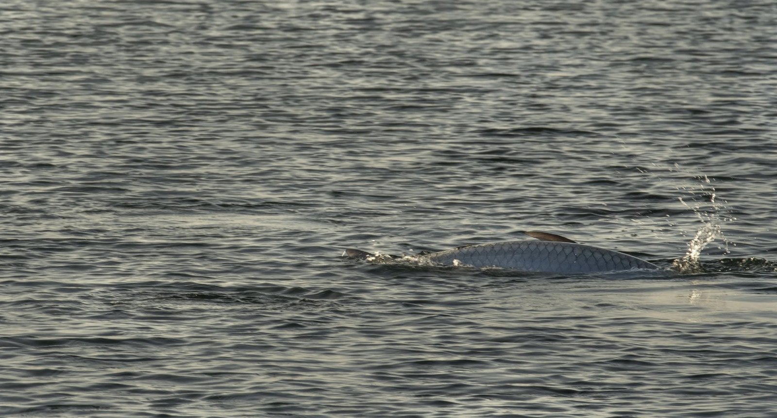 Water where guides here run bonefish trips, photographed by Backcountry Flyfisher