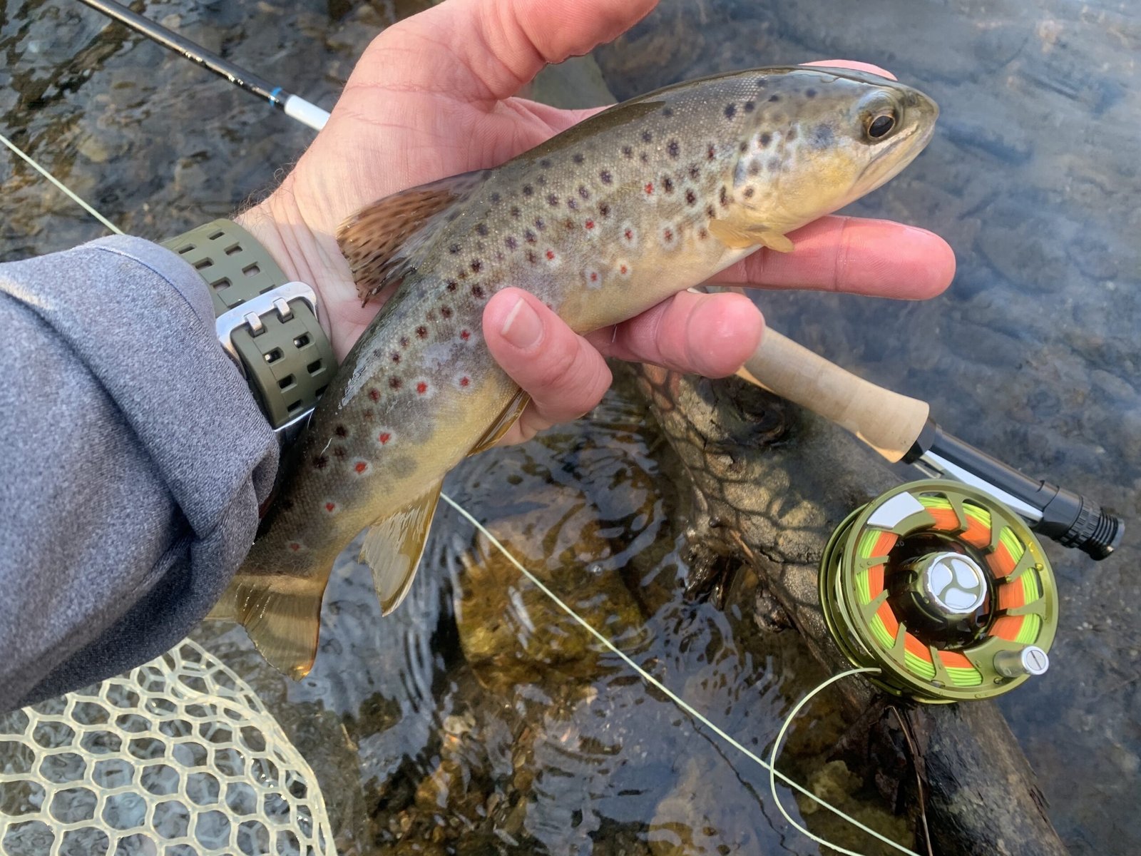 A guide's day in progress, photographed by Backwater Angler in MD