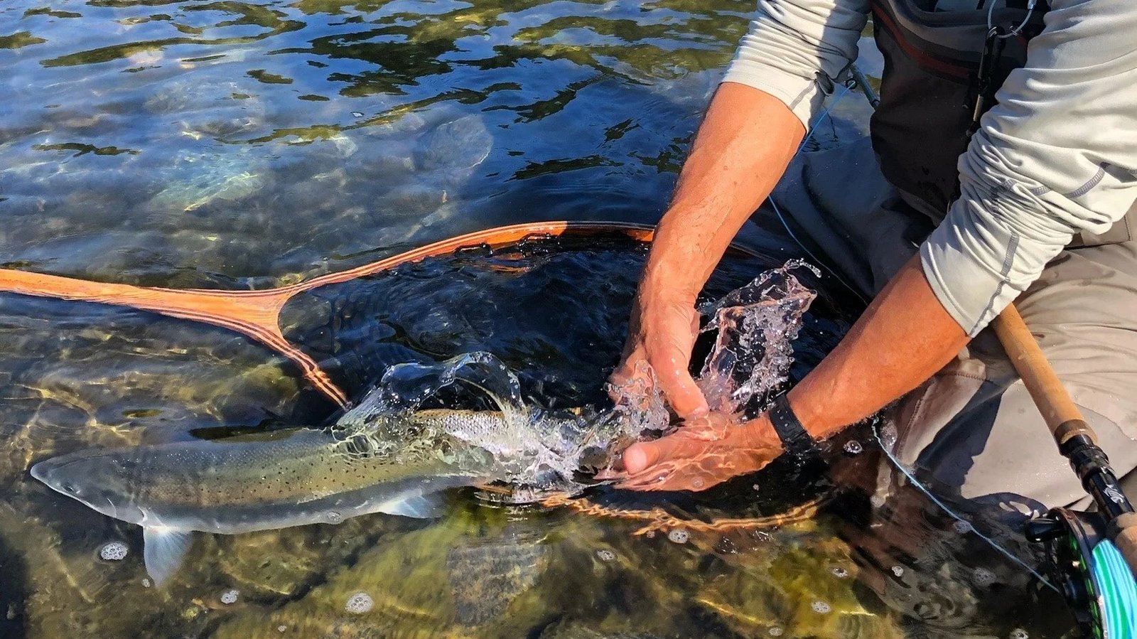 On the Smith River, photographed by Bansemer Fishing