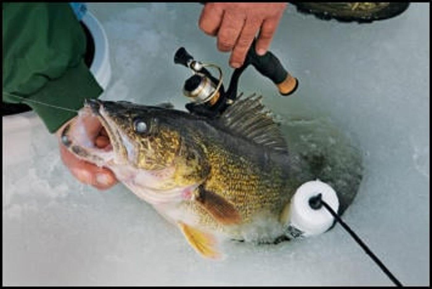 The working end of a guided day, photographed by Bay Lake Charters in WI