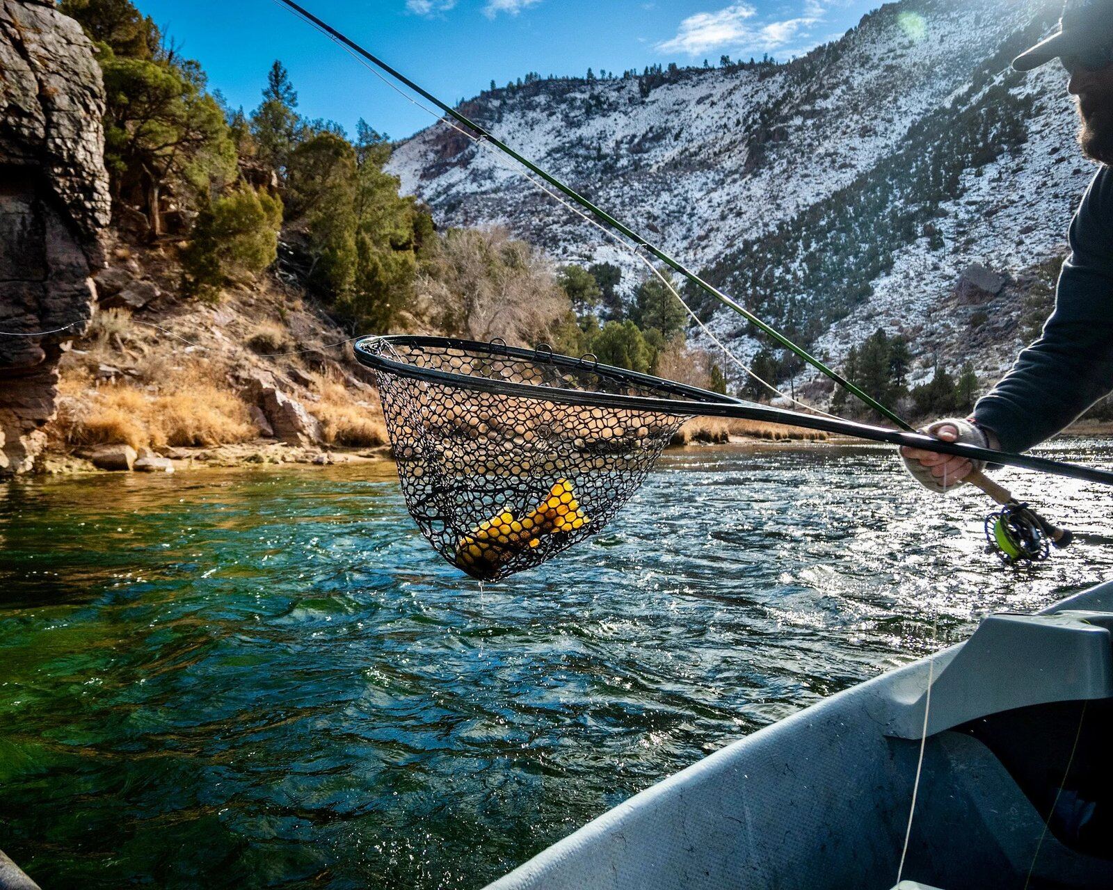 The working end of a guided day, photographed by Beehive Fishing Company in UT