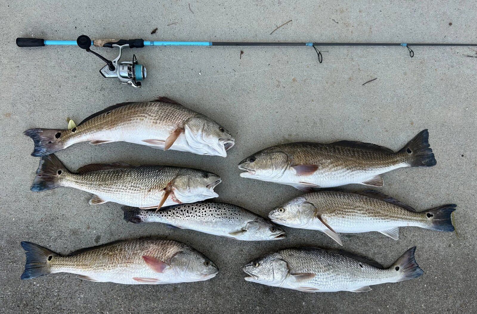 Betty Lou Fish Company on the water in Virginia