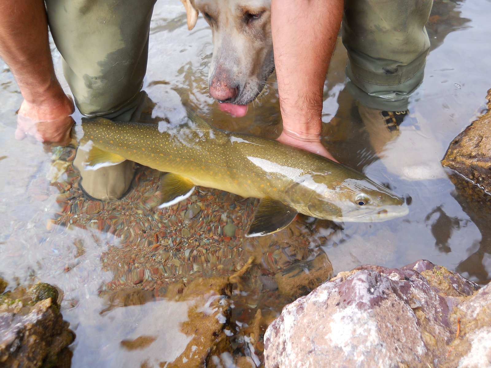 The working end of a guided day, photographed by Big Salmon Outfitters in MT