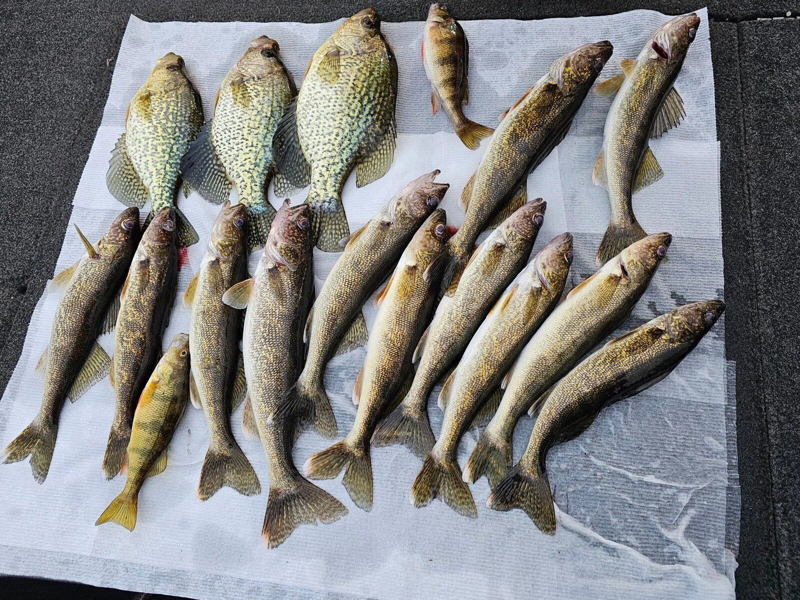Bobber Down Guide Service on the water in Wisconsin