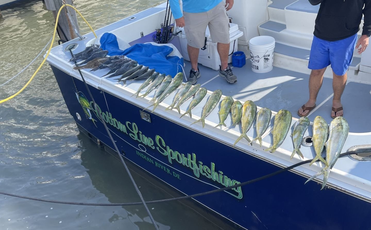 A guided day underway, photographed by Bottom Line Sportfishing in DE