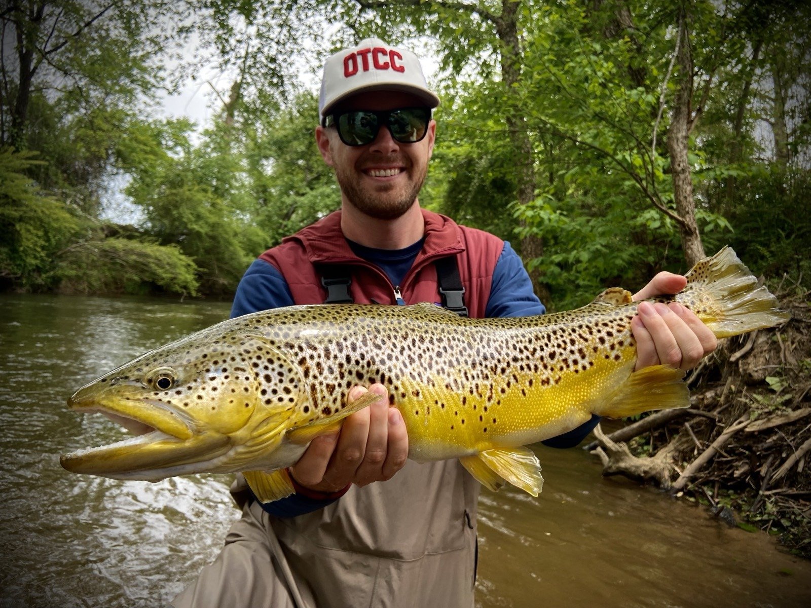 A guide holding a large brown trout on a Georgia river
