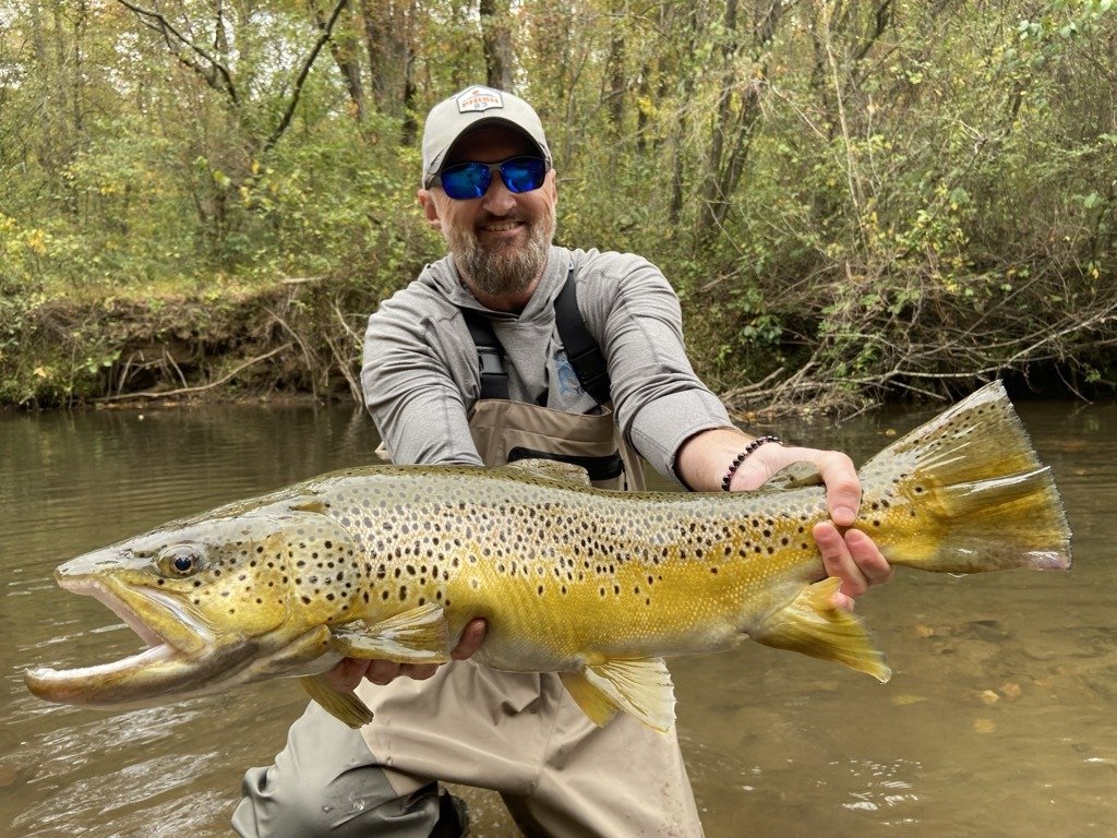A guide holding a heavy brown trout beside the river