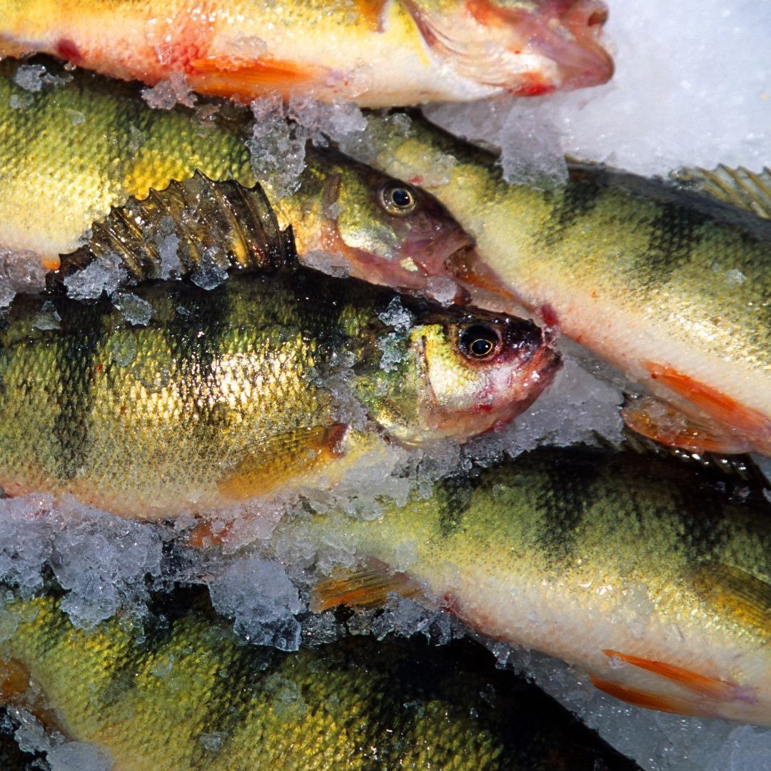 On the Devils Lake, photographed by Bry's Guide Service