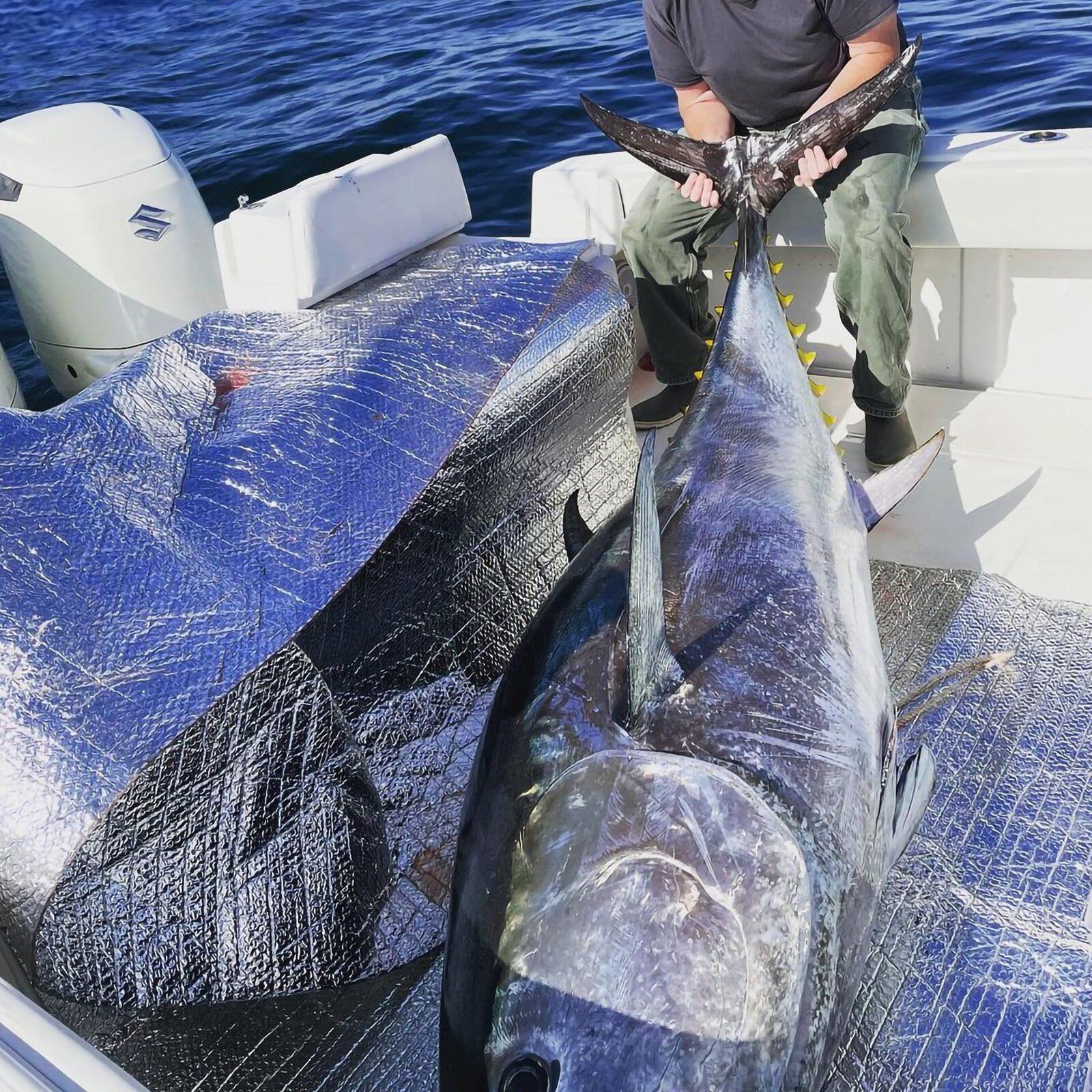 A guide working with a client on the water, photographed by Cape Cod Outfitters Fishing in MA