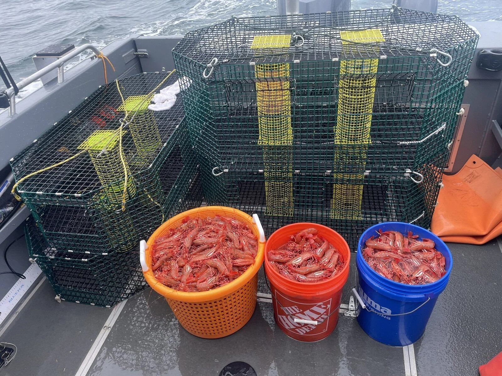 A guide at work during a trip, photographed by Cascade Fishing Guides in WA