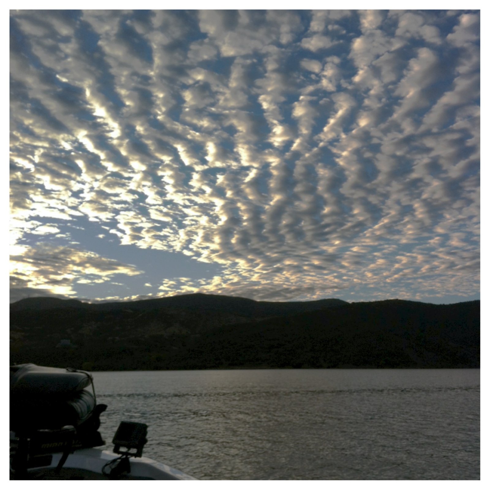 Castaic and Pyramid Lake Fishing Guide Service on Castaic Lake