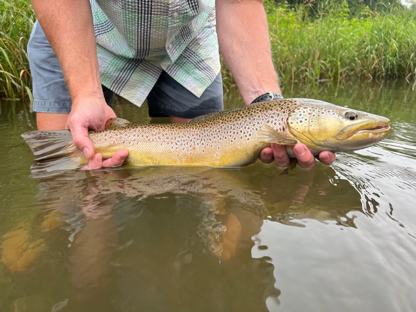 An on-the-water scene from a working guide operation, photographed by Catskill Fly Fishing Guides in NY