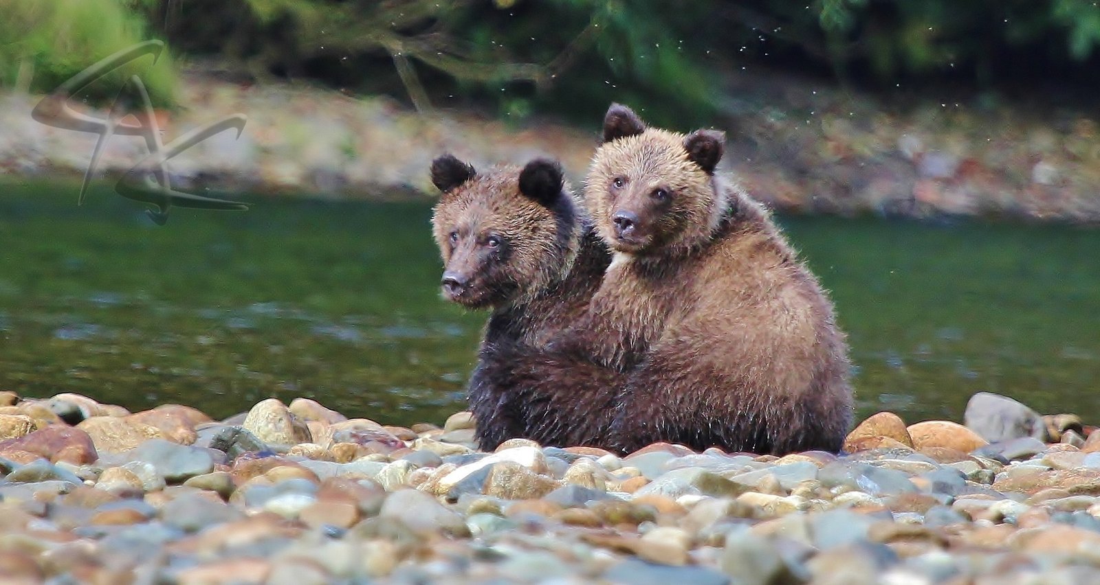 On the Misty Fjords National Monument, photographed by Classic Alaska Charters