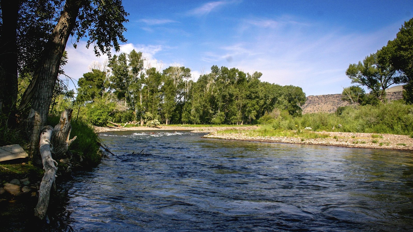 The working end of a guided day, photographed by Conejos River Anglers in CO