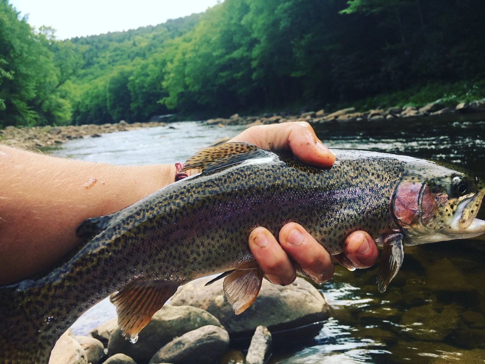 Cool Water Outfitters on the water in Virginia