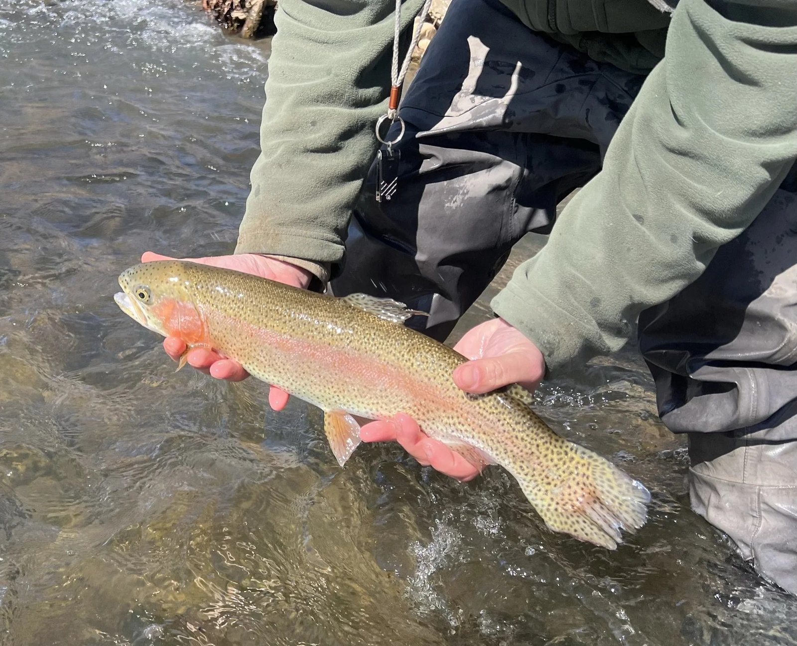 A guide working with a client on the water, photographed by Cool Water Outfitters in VA