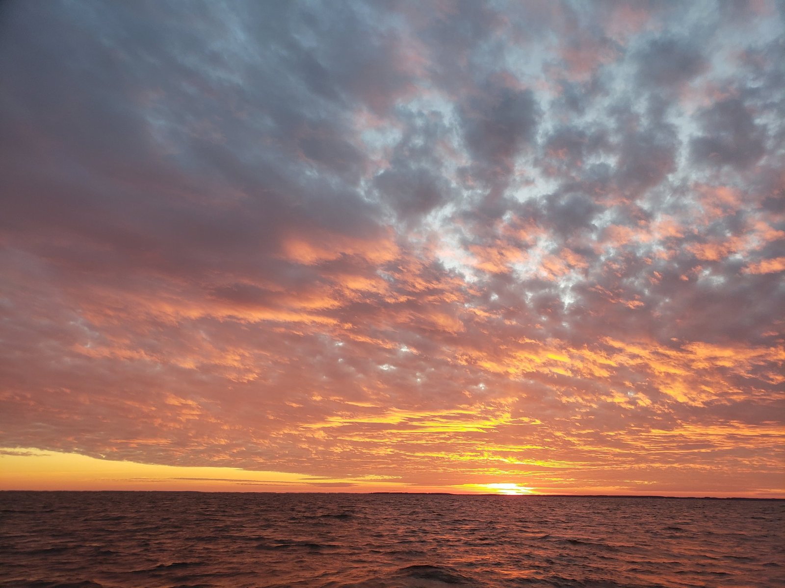 The working end of a guided day, photographed by Crisfield Charters in MD