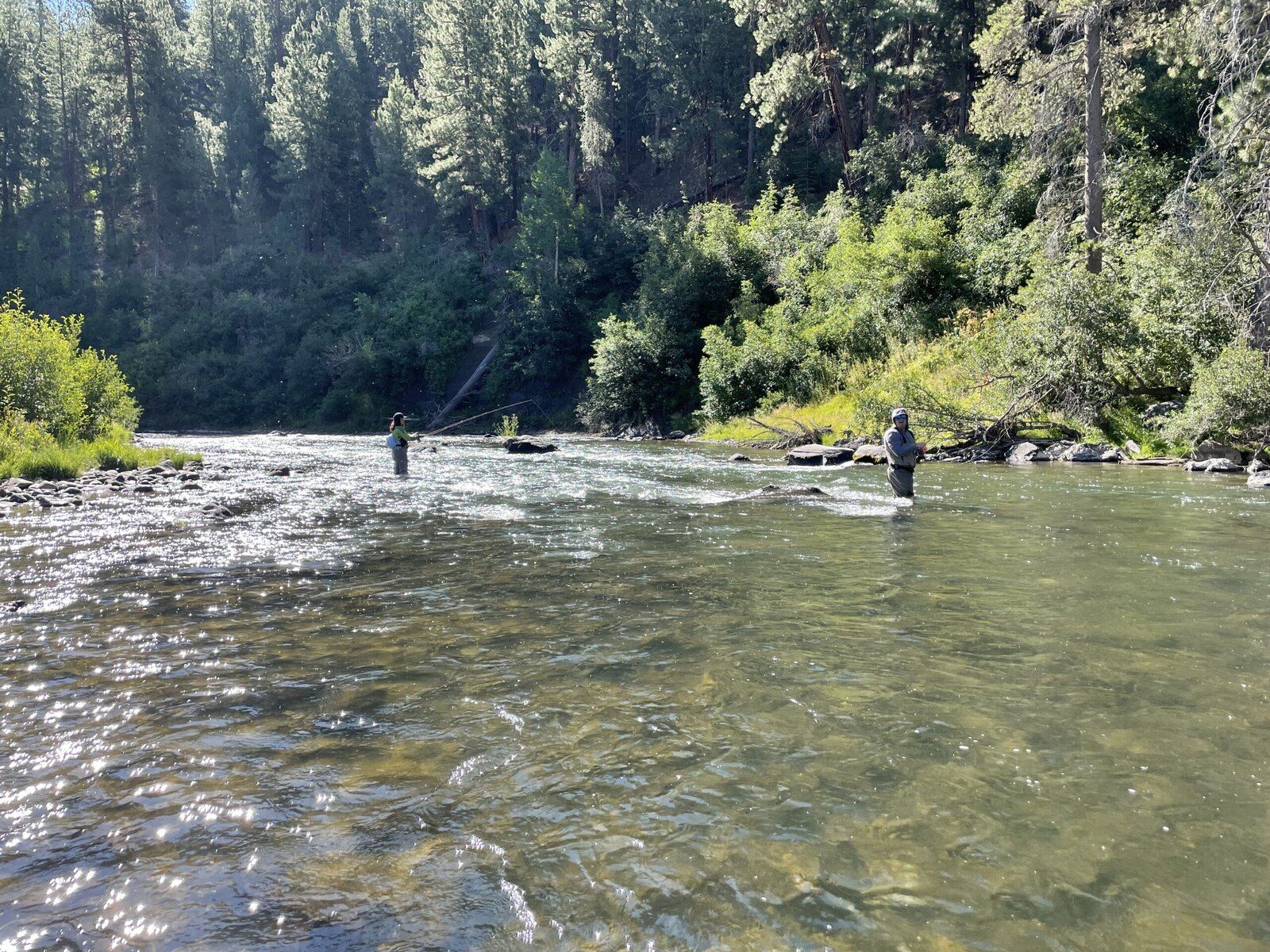 A guide working with a client on the water, photographed by Current Fly Fishing in NV
