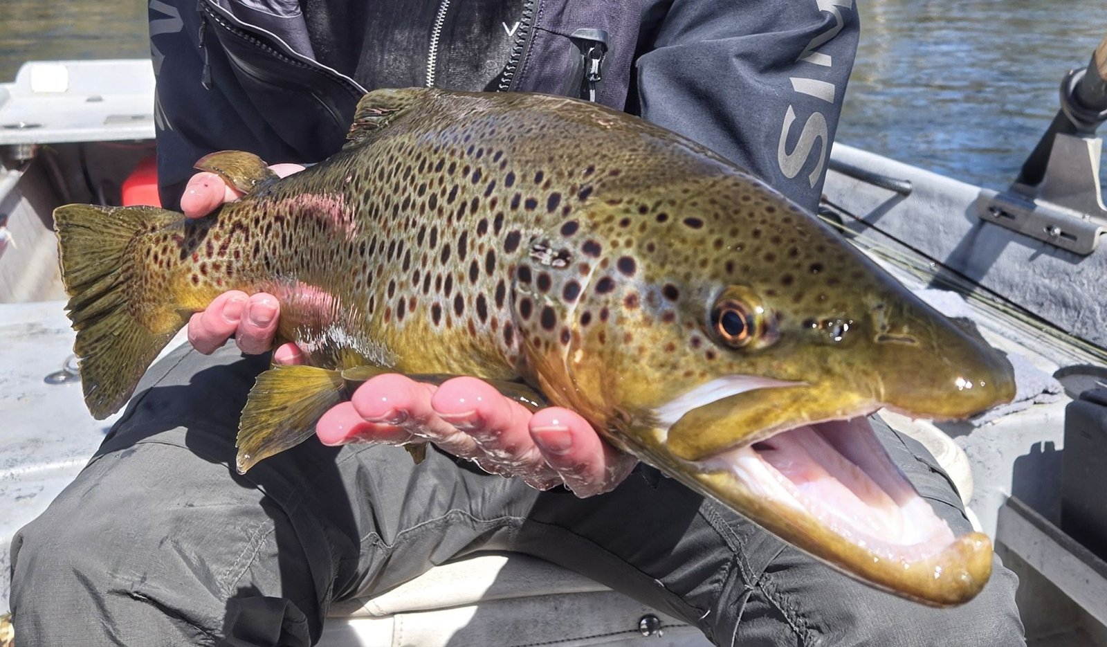 A guide's boat during a working trip, photographed by Dally's Ozark Fly Fisher in AR