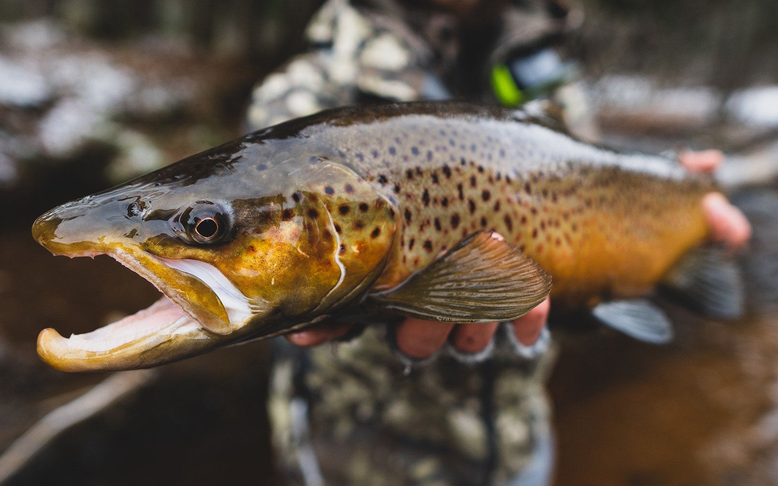 A guide operation at work on its home water, photographed by Dark Waters Fly Shop and Guide Service in MI