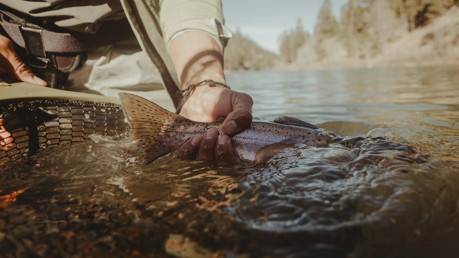 The working end of a guided day, photographed by Dirty Verde Outfitters in AZ