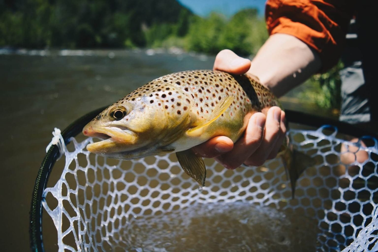 The job of guiding, mid-trip, photographed by Duranglers in CO