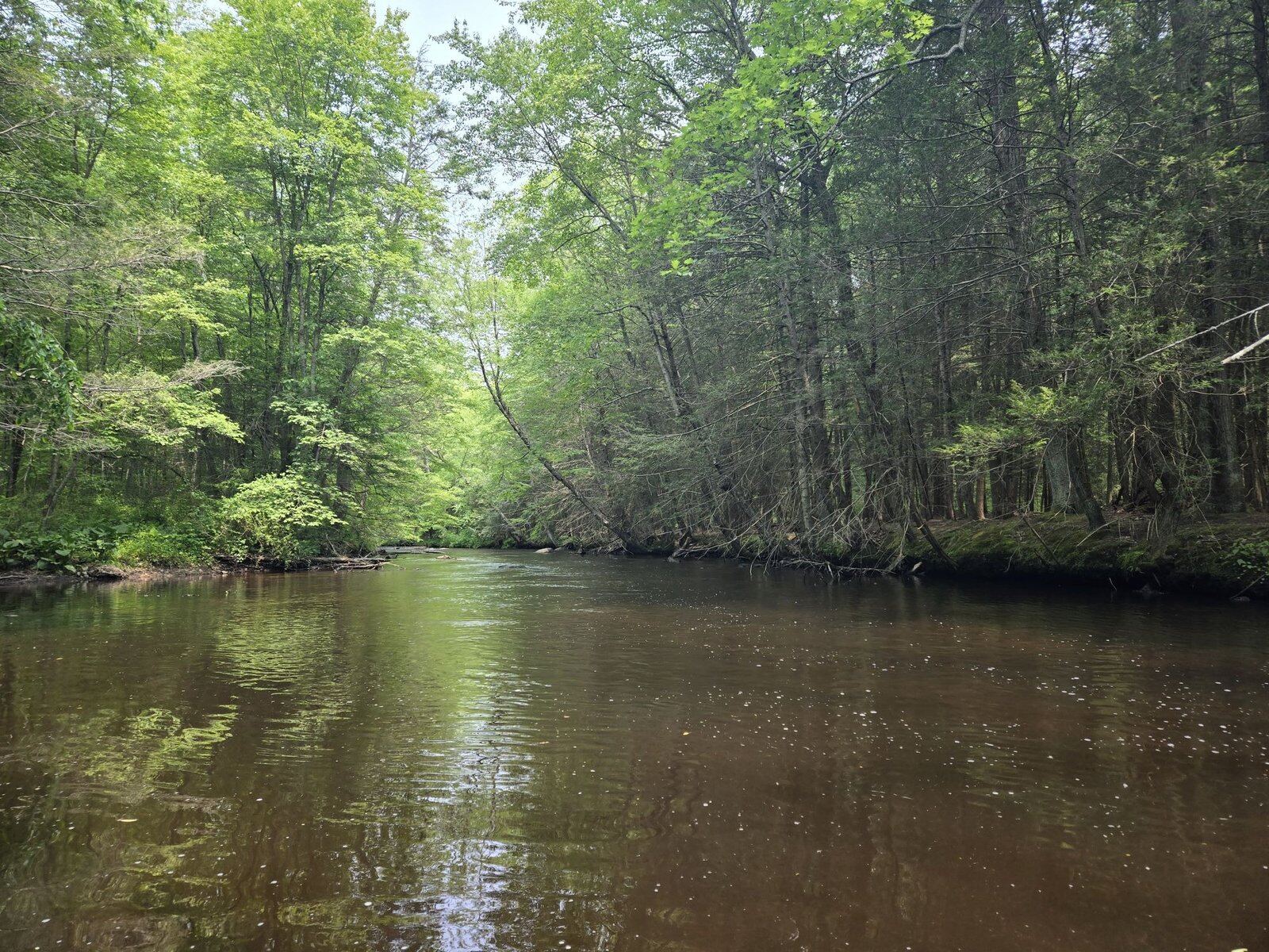 The working end of a guided day, photographed by Eastern CT Fly Fishing in CT