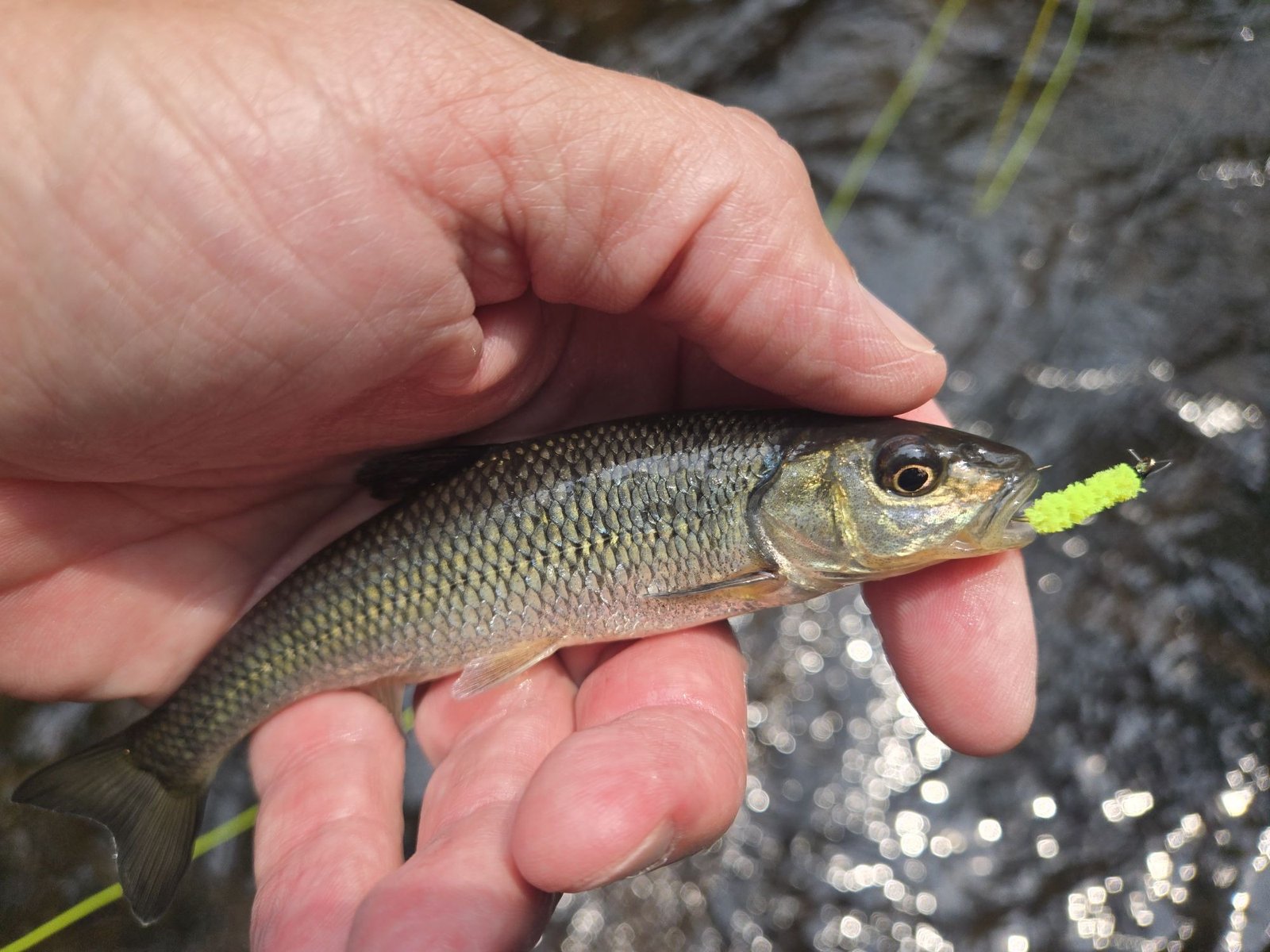 An on-the-water scene from a working guide operation, photographed by Eastern CT Fly Fishing in CT